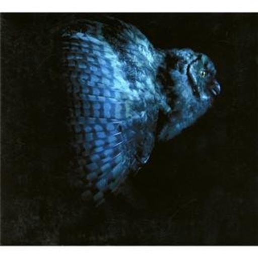 Mondkopf – Rising Doom