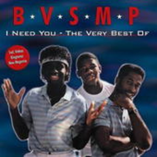 B.V.S.M.P. – I Need You - The Very Best Of