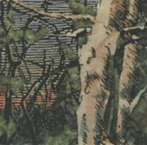 Anomoanon – Asleep Many Years In The Wood