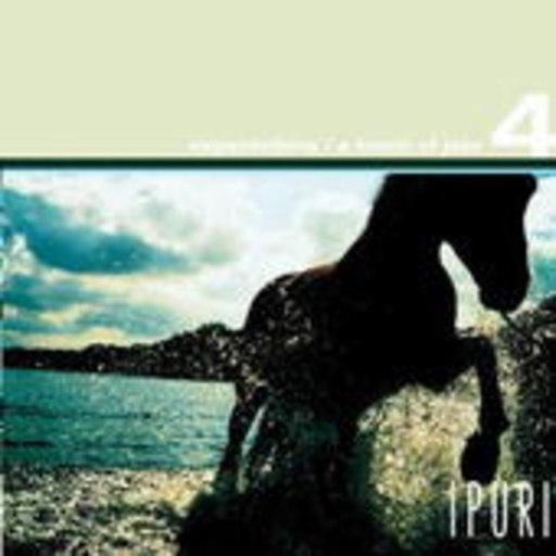 Diverse – Ipuri 4 - Expectations/A Touch Of Jazz