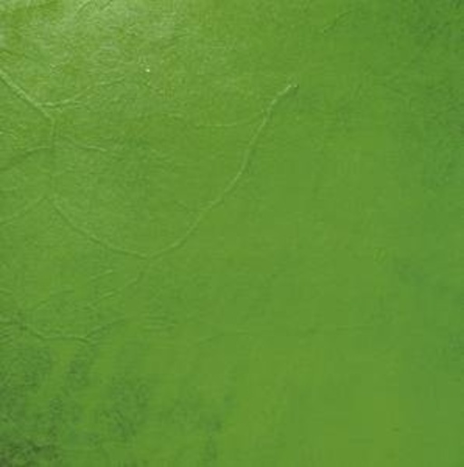 Anna Losinger/Matthias Eser – The Five Elements Vol. 1