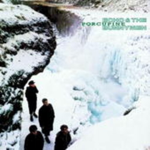 Echo & Bunnymen – Porcupine