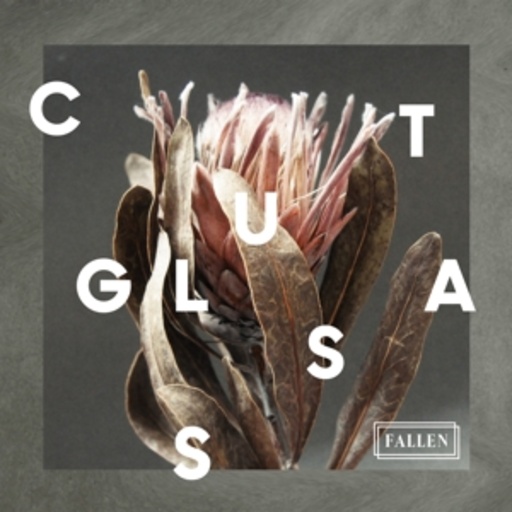 Cut Glass – Fallen