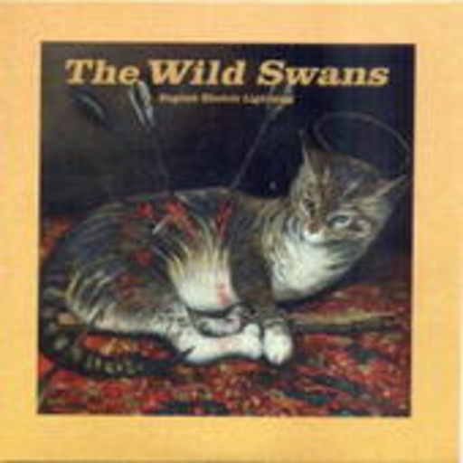 The Wild Swans – English Electric Lightning EP