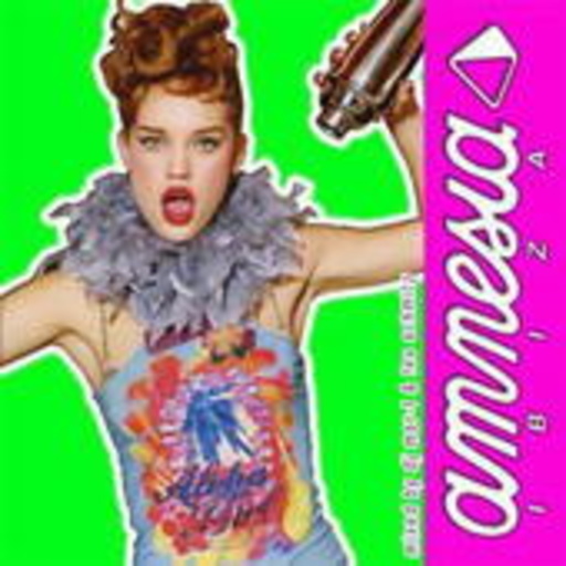 Diverse – Amnesia Summer 2004