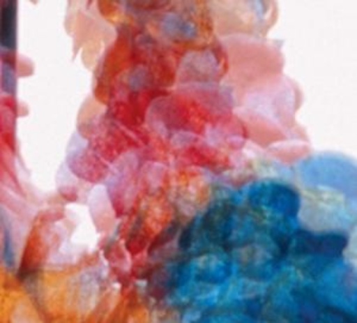 Dungen – Ski I Allt
