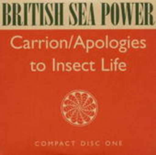 British Sea Power – Carrion/Apologies To Insect Life