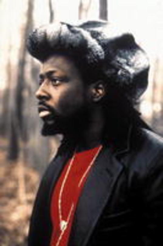 Startet Friedenskampagne: Wyclef Jean