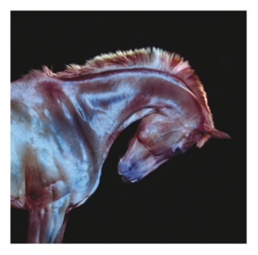 Fenech/Soler – Rituals