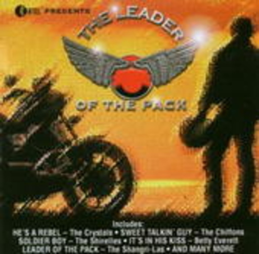 Diverse – The Leader Of The Pack