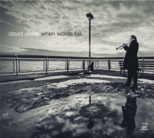 David Weiss – David Weiss: When Words Fail