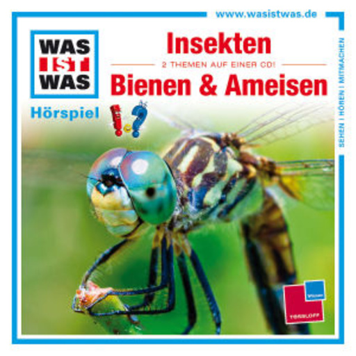 Diverse – Was ist was - Folge 37 - Insekten/Bienen und Ameisen
