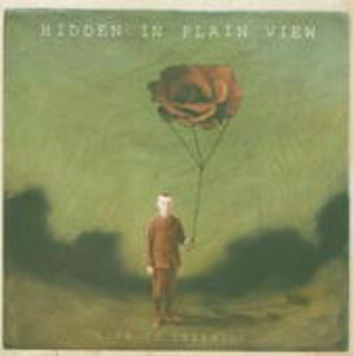 Hidden In Plain View – Life In Dreaming