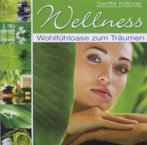 Diverse – Wellness - Wohlfühloase zum Entspannen