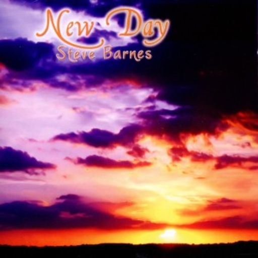 Steve Barnes – New Day