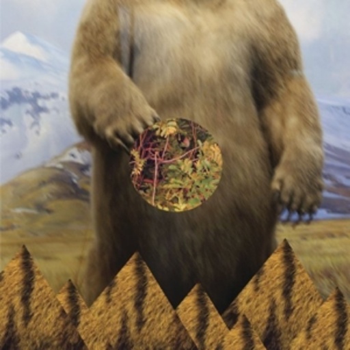 Yamon Yamon – This Wilderlessness