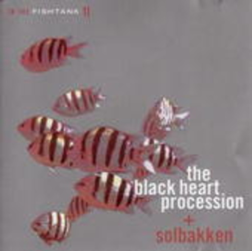 The Black Heart Procession & Solbakken – In The Fishtank