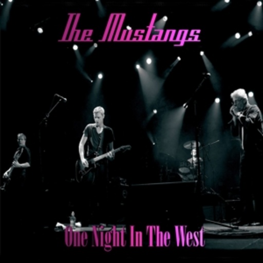 The Mustangs – One Night In The West