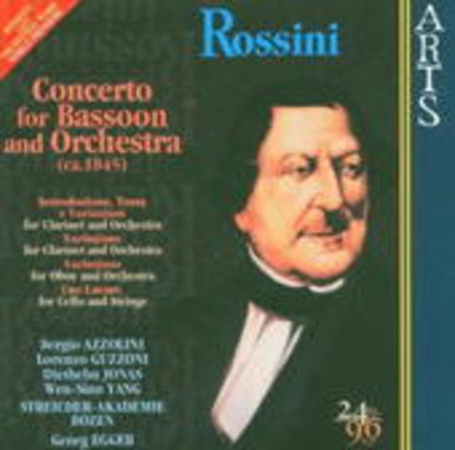 Streicher Akademie – Concerto For Bassoon