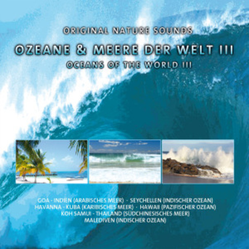 Diverse – Ozeane der Welt Vol. 3