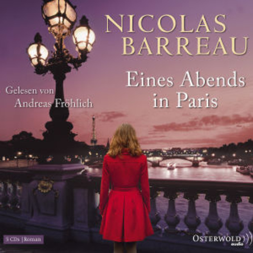 Eines Abends in Paris