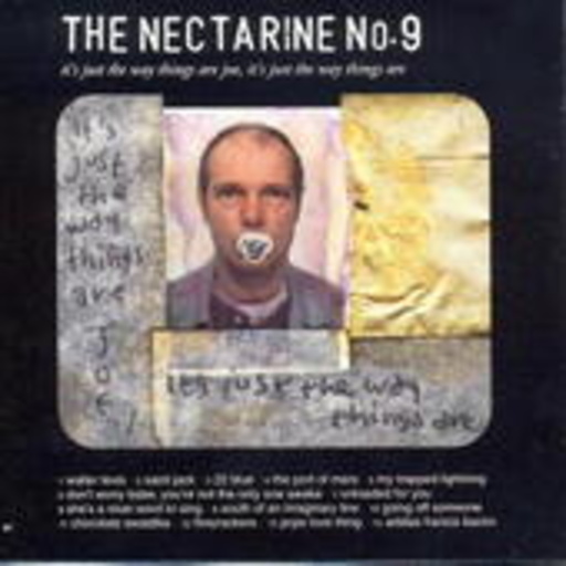 The Nectarine No. 9 – It's Just The Way Things Are Joe