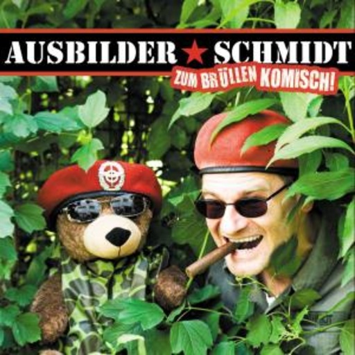 Ausbilder Schmidt – Zum Brüllen komisch