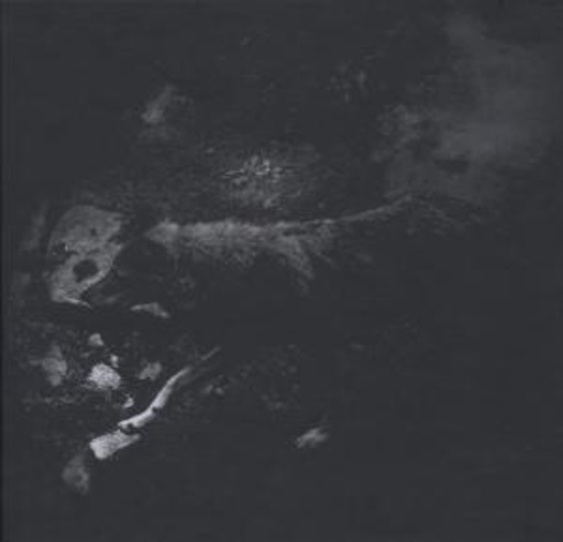 October Falls – The Womb Of Primordial Nature