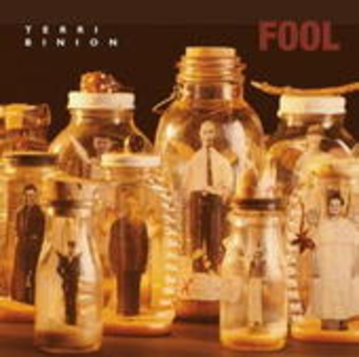 Terri Binion – Fool