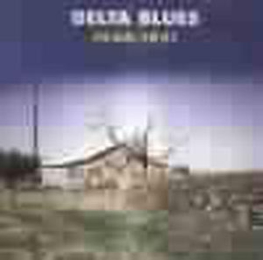 Diverse – Delta Blues 1940-1951