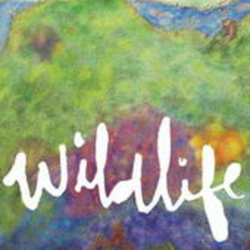 Headlights – Wildlife