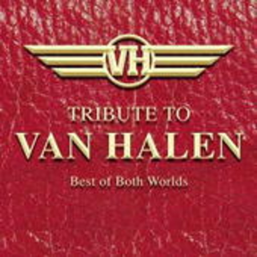 Diverse – Tribute To Van Halen - Best Of Two Worlds