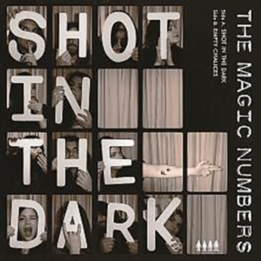 The Magic Numbers – A Shot In The Dark