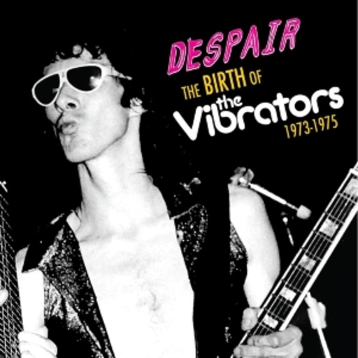 Despair – The Birth Of The Vibrators 1973 - 1975