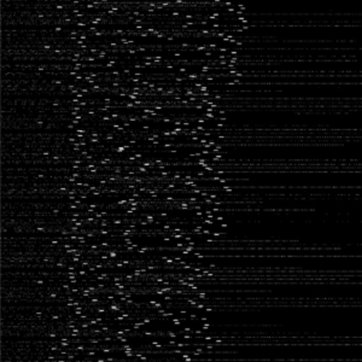 Application – System Fork