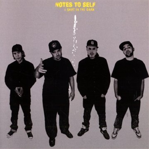 Notes To Self – A Shot In The Dark