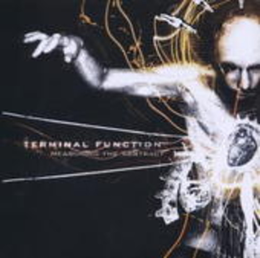 Terminal Function – Measuring The Abstract