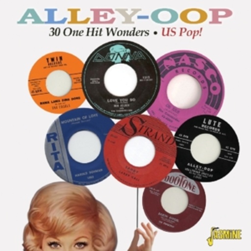 Diverse – Alley-Oop - 30 One Hit Wonders - US Pop!