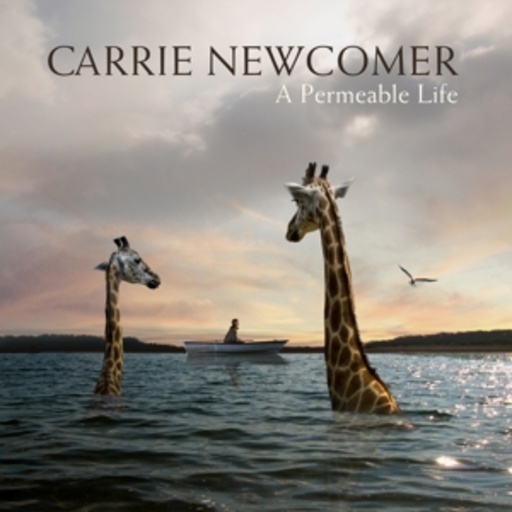 Carrie Newcomer – A Permeable Life