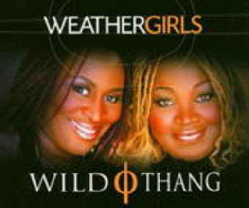 Weathergirls – Wild Thing