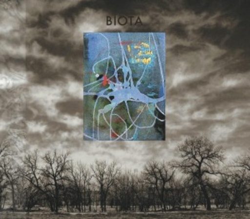 Biota – Cape Flyaway