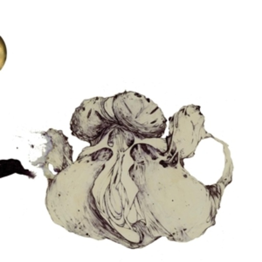 Coil – Ape Of Naples