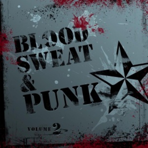 Blood, Sweat & Punk Volume 2