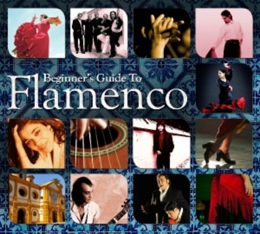 Diverse – Beginner's Guide To Flamenco