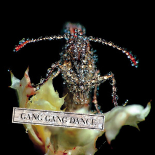 Gang Gang Dance – Eye Contact