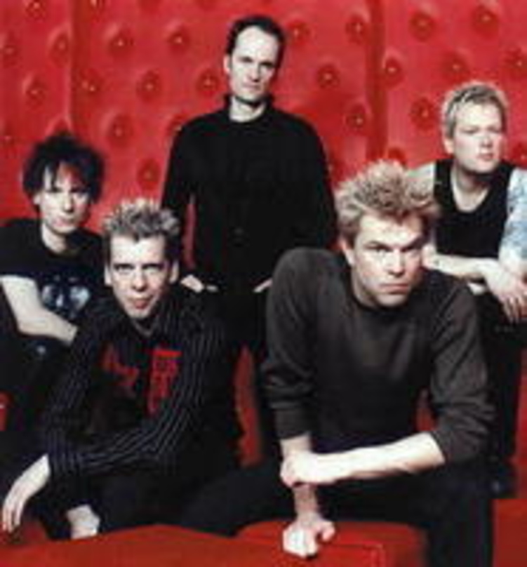 Multimedial aktiv: die Toten Hosen