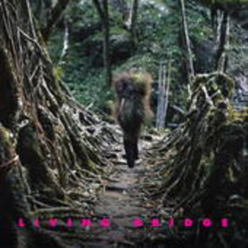 Diverse – Living Bridge