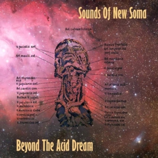 Sounds Of New Soma – Beyond The Acid Dream