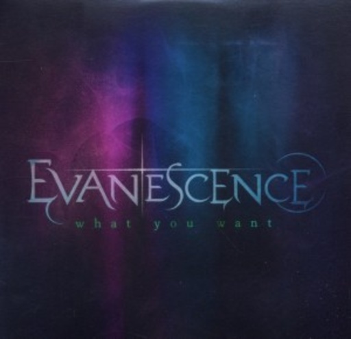 Evanescence – What You Want