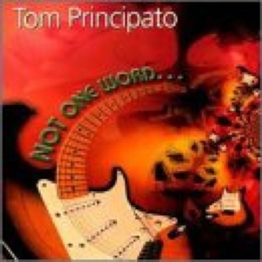 Tom Principato – Not One World